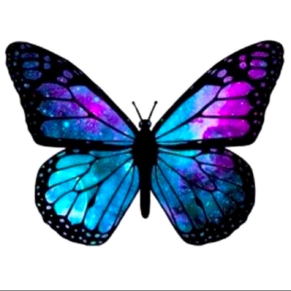 Meet your Posher, Londa - Picture 1 of 1